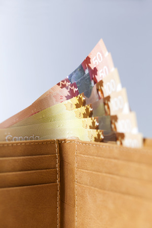 Canadian Dollars and credit cards in mustard coloured leather walletの写真素材