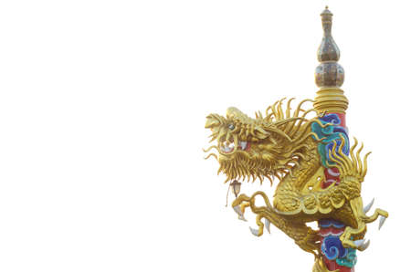 gold chinese dragon on white backgroundの写真素材
