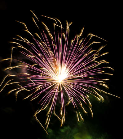 Fireworks light up the sky