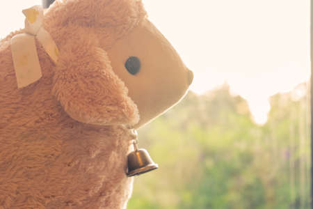 portrait sheep doll have feeling warmの写真素材