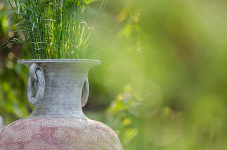 big antique vase with papyrus insideの写真素材