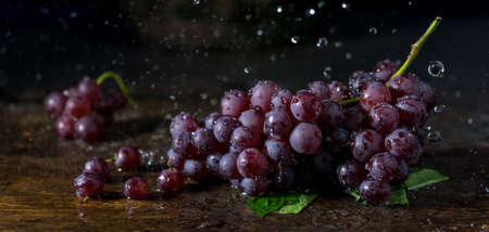 panoramic of grape has water splash with dark background. feeling fresh grape conceptの写真素材