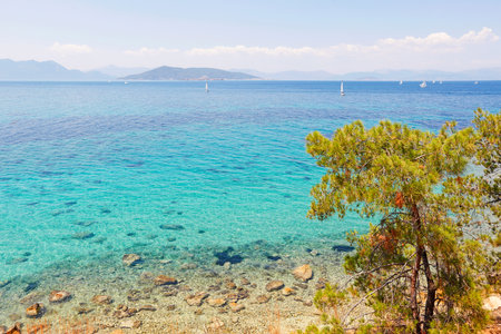 Sail boats near Aegina island, Greeceの写真素材