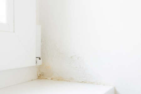 image of damp in corner of windowの写真素材