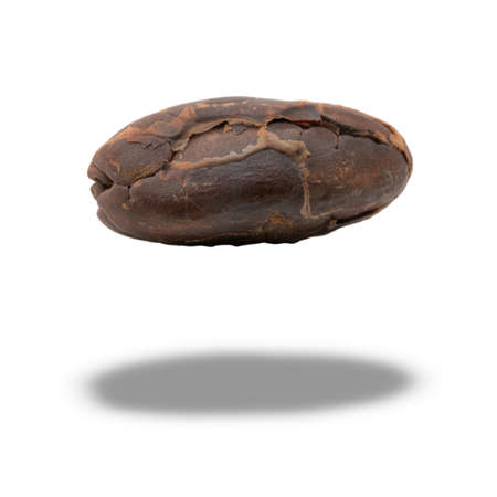 macro image peeled cocoa seed in air on white background with shadowの写真素材