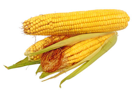 corn