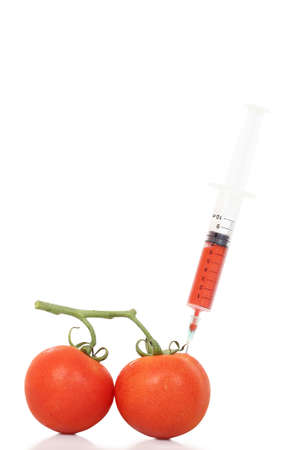 genetically modified tomato concept on whiteの写真素材