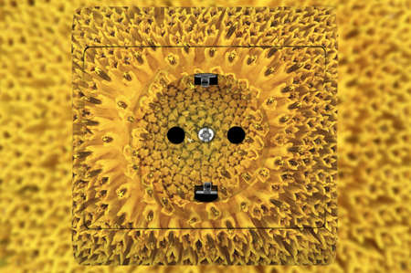 sunflower socket, concept for alternative sources of energy