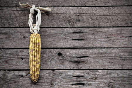 dry corn hanging on old wooden wallの写真素材