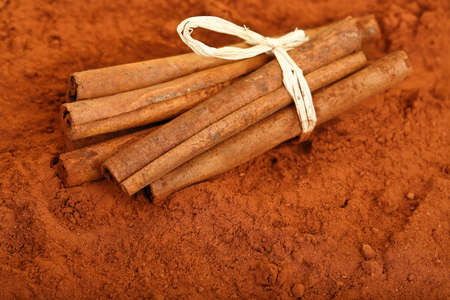 tied cinnamon sticks on cocoa powder