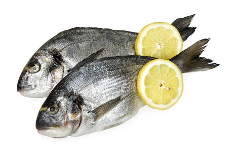 seabream with lemon slice isolated on white backgroundの写真素材
