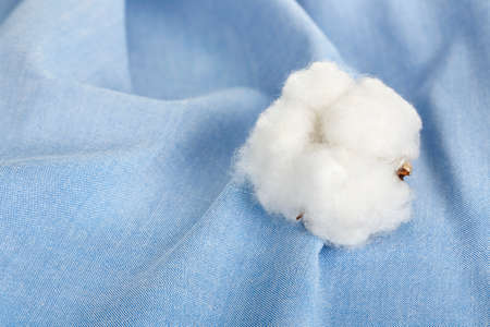cotton ball on blue cotton shirtの写真素材