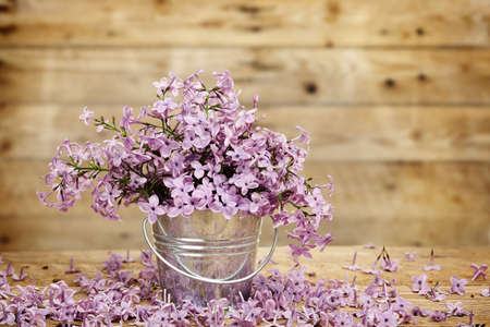 lilac flower in tin bucket against wooden planksの写真素材