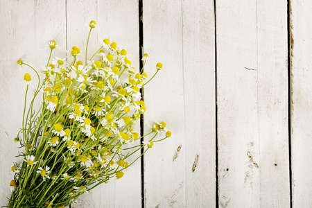 bunch of chamomile flowers on weathered woodの写真素材