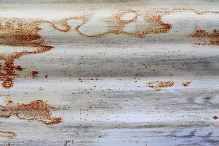 painted corrugated iron which is starting to rust, full frame