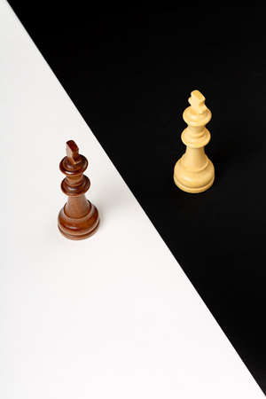 wooden chess kings on black and white, abstract concept