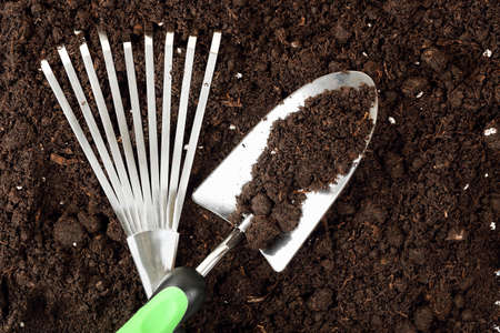 rake and spade on soil, gardening conceptの写真素材