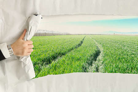 male hand ripping a paper sheet revealing a green fieldの写真素材