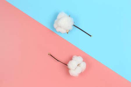 flat lay image of cotton balls on pink and blue surface