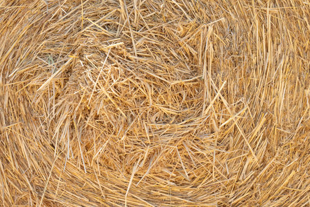 close up hay bale for backgrounds