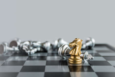 Chess (Knight wins the game) on white background. Success, business strategy, tactics, win, victory, winner, intellect, defeat, beat, knock or checkmate concept.の写真素材