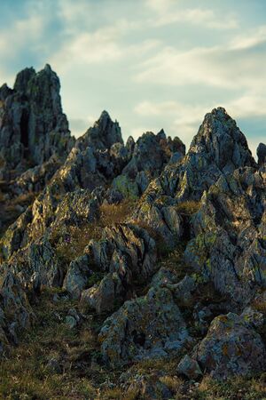 Rock and flowersの写真素材