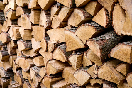 Newly felled timber  stack of wood 