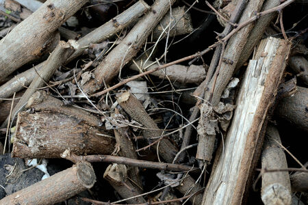 Small pieces of wood cut in natural lightの写真素材