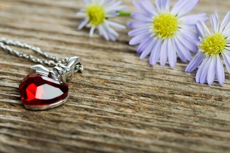 Necklace with heart shaped locketの写真素材