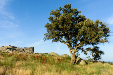 District Porto, Pacos de Ferreira, Portugal - October 19, 2014: Citania of Sanfins, located on a...