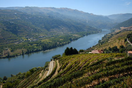 Mesao Frio, Portugal - October 05, 2018 : Privileged view of the river Douro and its banks, Vila Real, Portugalのeditorial素材
