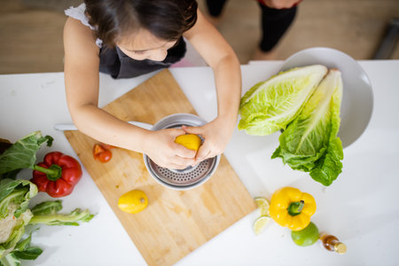 Little girl squeezing lemons on a steel lemon juicerの写真素材