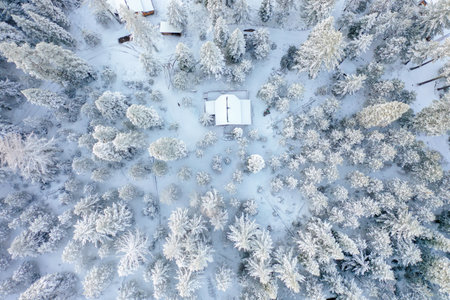 Cabin in the middle of a snowy forest