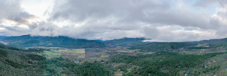 Wide-angle of fields and a forest with mountains in the distance