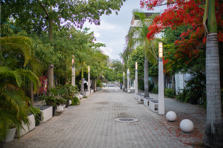 Alley surrounded by plants and trees under a cloudy skyの写真素材