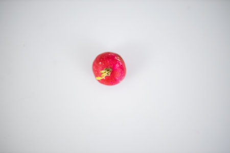 Fresh radish isolated on a white table from aboveの写真素材