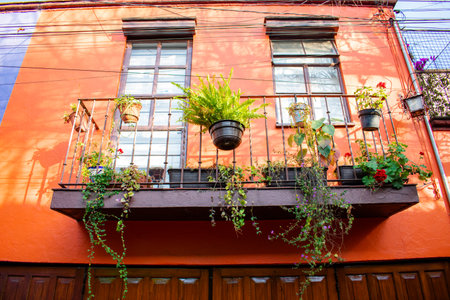 Plants and flowers on balcony from orange Hispanic houseの写真素材