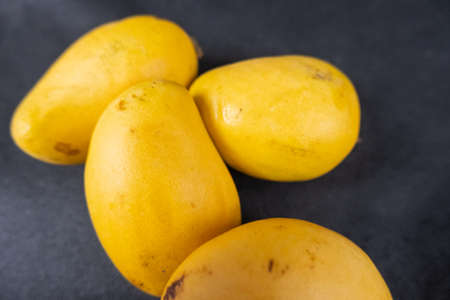 Mangoes isolated on a table with dark tableclothの写真素材