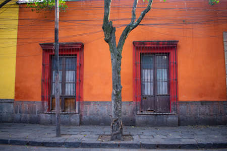 Old orange building and trees in Mexico Cityの写真素材