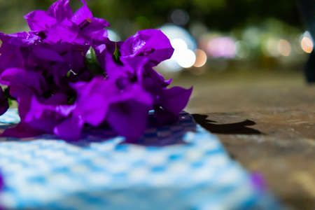 Purple flowers on checkered tablecloth with blurry backgroundの写真素材