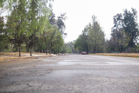 Paved road surrounded by leafy trees and under bright cloudy skyの写真素材
