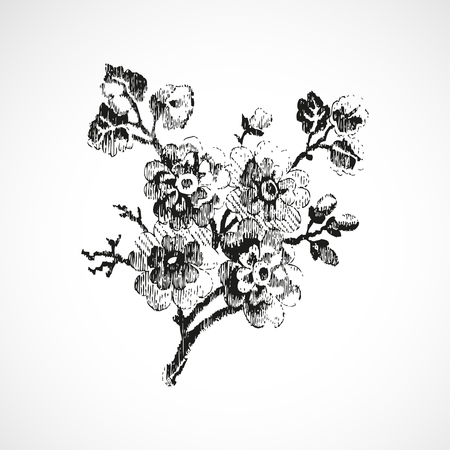 Hand-drawn twig with flowers, vintage isolated background vector illustration realistic sketchのイラスト素材