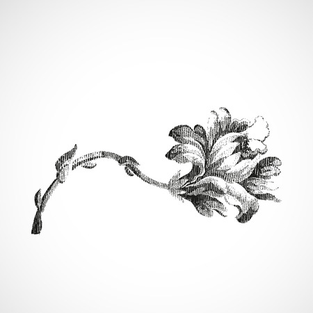 Hand-drawn horizontal flower of lily, vintage isolated background vector illustration realistic sketch.のイラスト素材