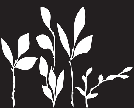 Vector abstract white pattern of leaves of black backgroundのイラスト素材
