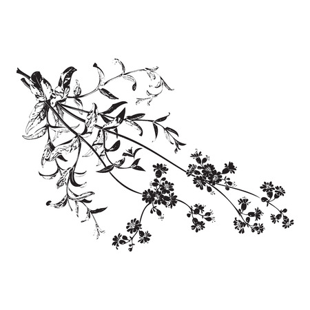 Botanical hand drawn branches with flowers isolated, herbal flowers isolated on white background vector illustrationのイラスト素材