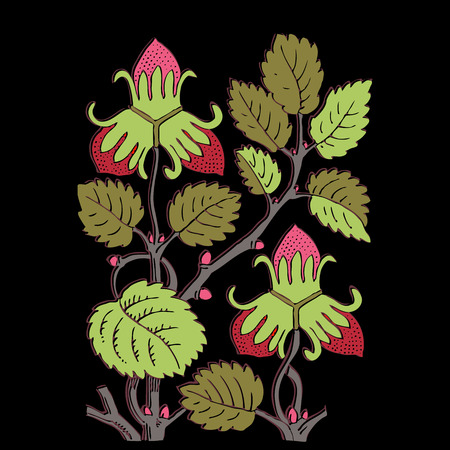 Colorful botanical hand drawn strawberry bush isolated on black background. Vector illustrationのイラスト素材