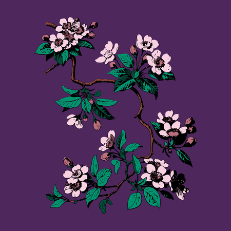 Colorful Hand drawn sakura branch. Background with blossom cherry tree branches. Botanical branches with leaves and flowers on purple background. Vector illustrationのイラスト素材