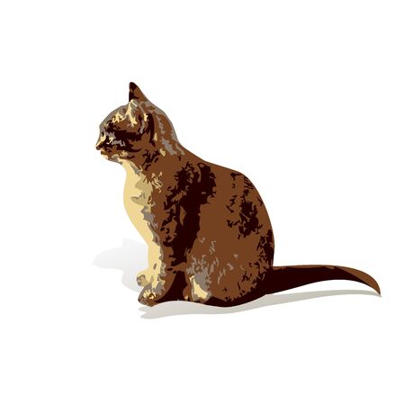 Brown house cat isolated, vector illustrationのイラスト素材