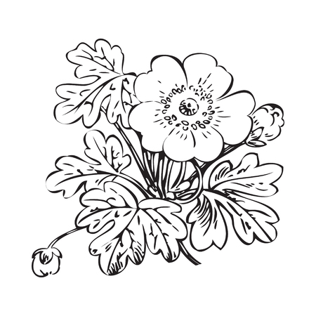 Floral bush retro black on white background vector, hand drawn decorative flower vintage contour, closeup branch with flower and buds print designのイラスト素材