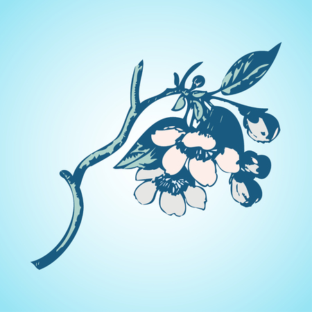 Cherry branches with flowers, sakura vector illustrationのイラスト素材